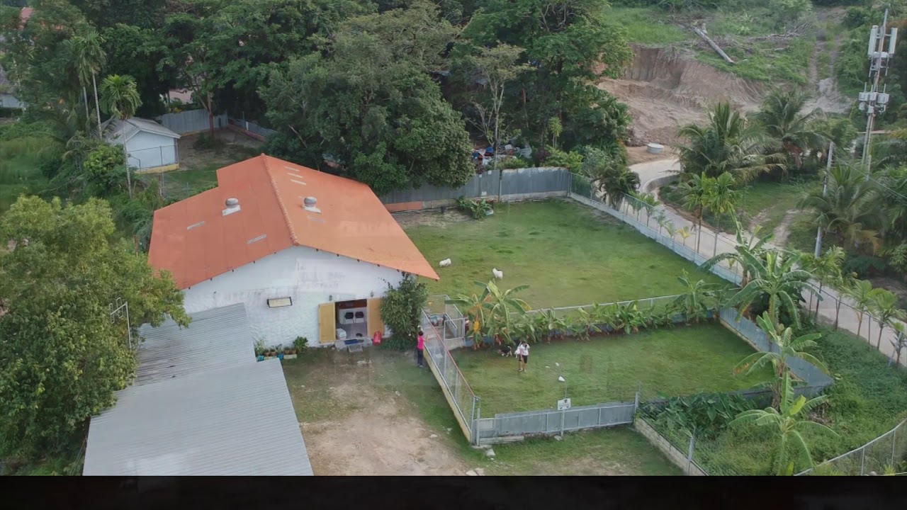 dogpark in Chalong Phuket