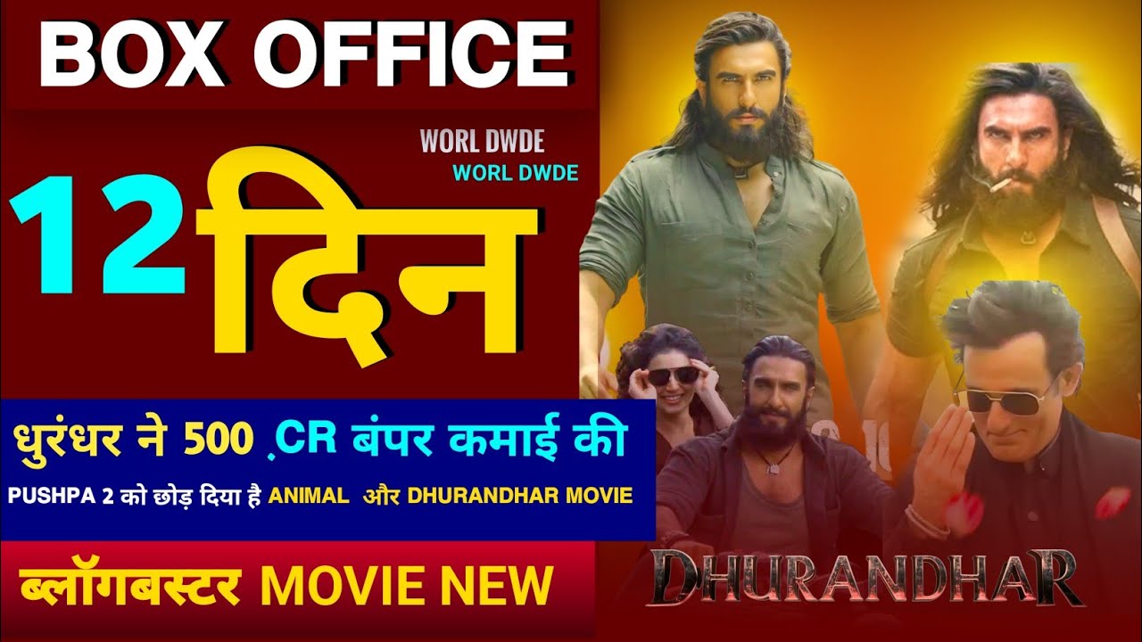 Dhurandhar Box office Collection 12 दिन का  Dhurandhar #bollywood Ranveer Singh 