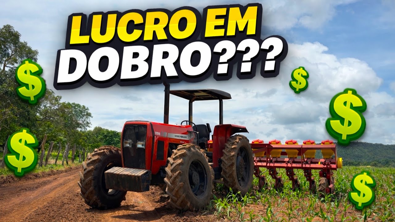 PLANTADEIRA VENCE TUDO BRAXXIA 13000 //PLANTIO DO CAPIM DENTRO DO MILHO! 