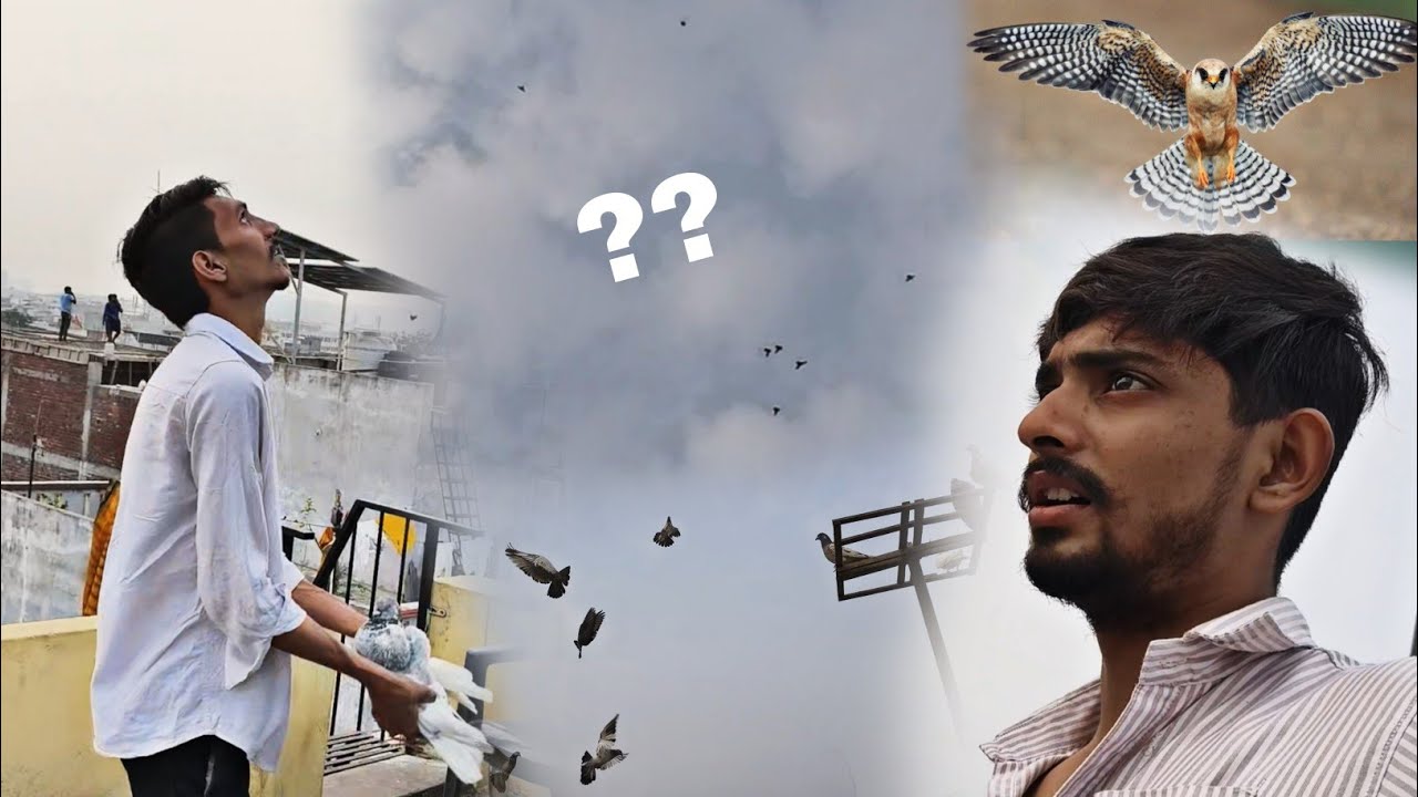 🦅? Achanak Ye Kya Hogya 😰