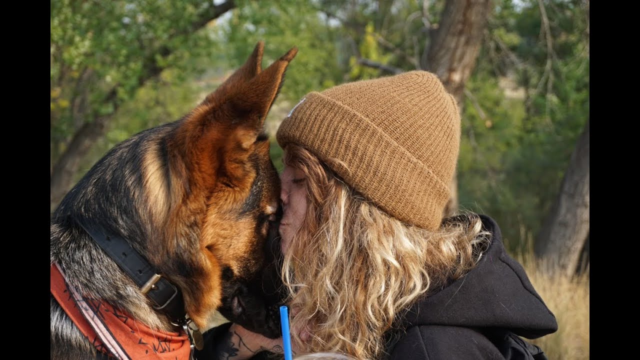Puppy Exposure Training Day  | Building Confidence & Social Skills the Southernwind Way&rdquo;