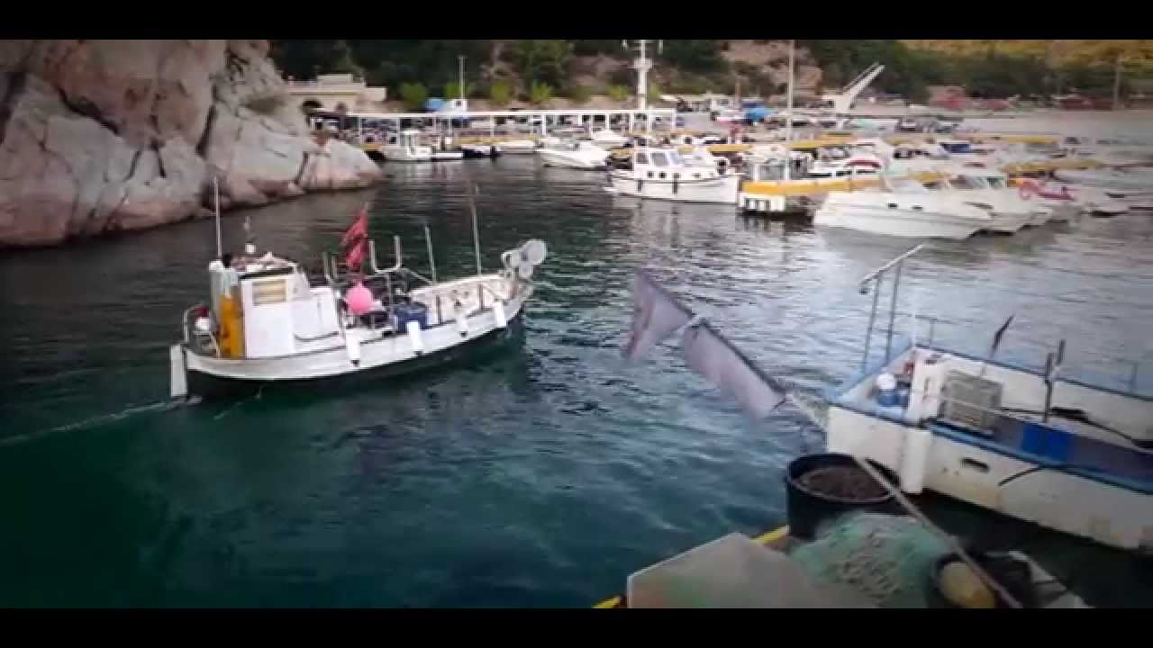 Reel Waldo produccions 2014