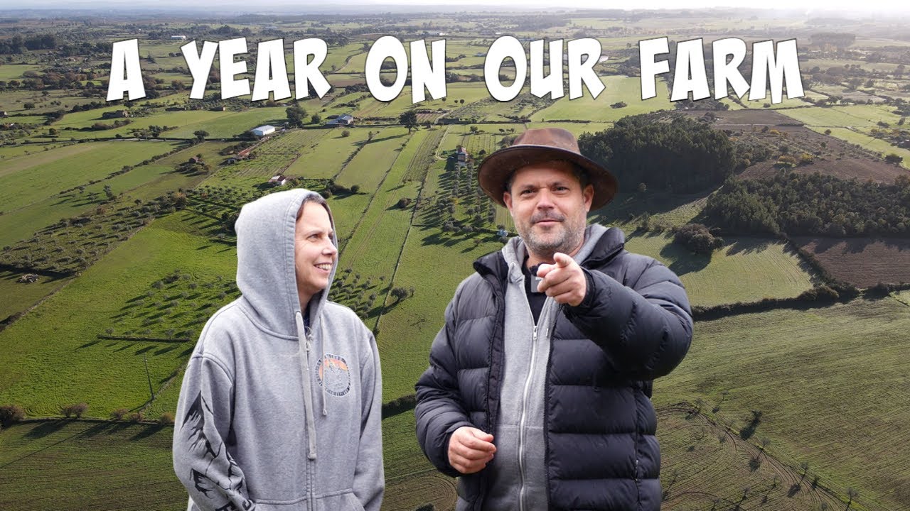 1 Year on our Portuguese Farm