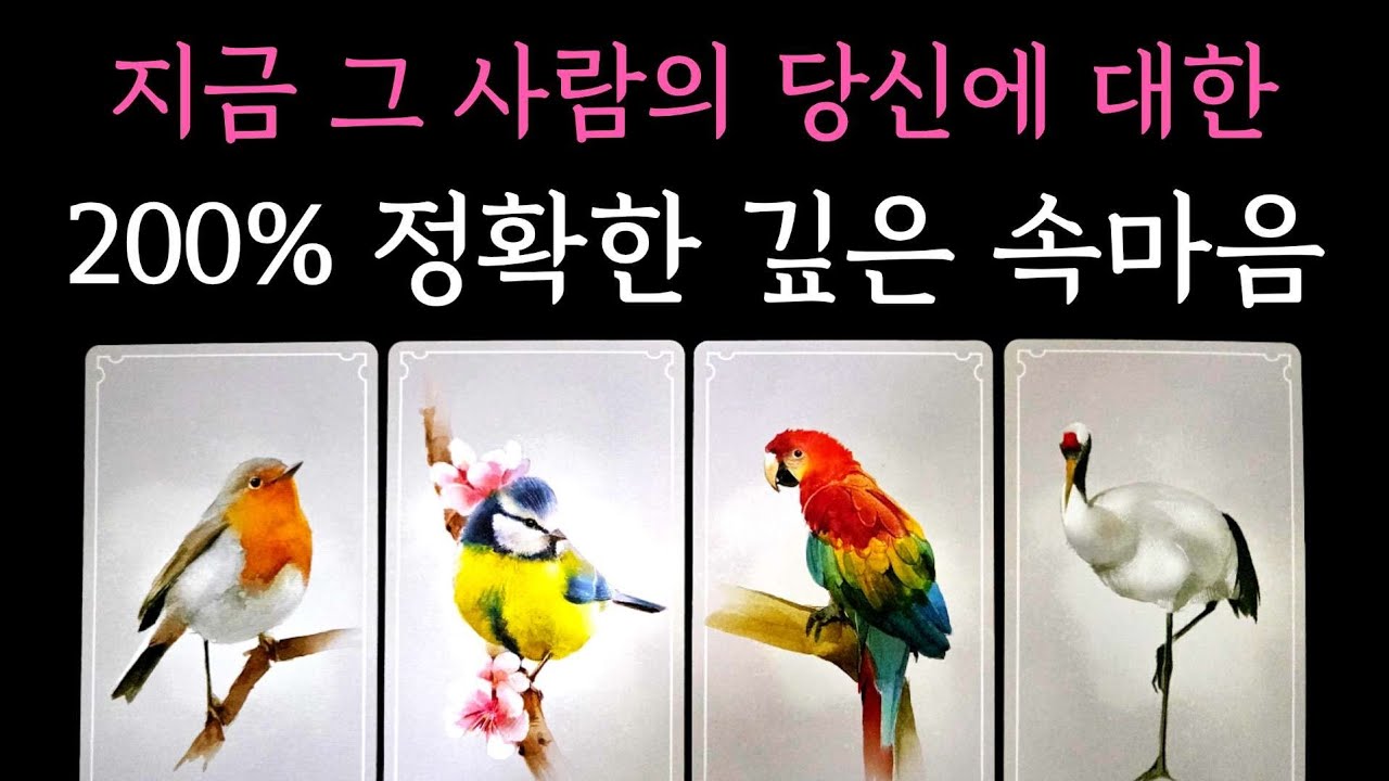 [타로] 지금 그 사람의 당신에 대한 200% 정확한 깊은 속마음🏹