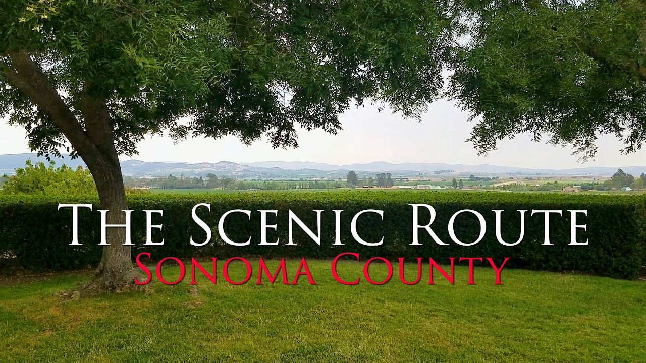 The Scenic Route Sonoma Valley Wine Country with Crushed Grape Chronicles