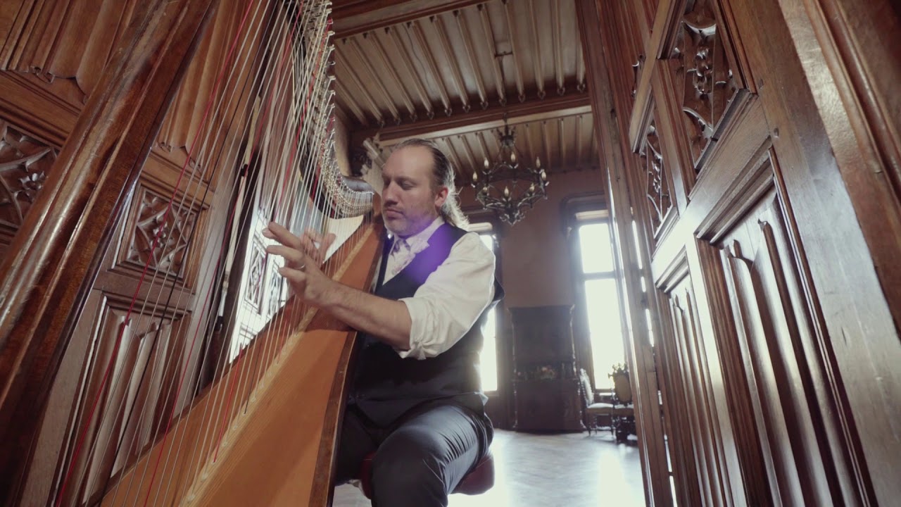Smells like teen spirit / Nirvana / Harp Cover : François Pernel