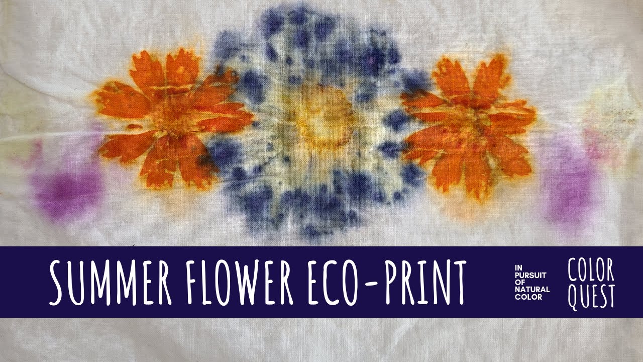 HOW TO ECO-PRINT WITH SUMMER FLOWERS | ORGANIC COLOR | COSMOS COREOPSIS GERANIUM | COTTON MORDANT