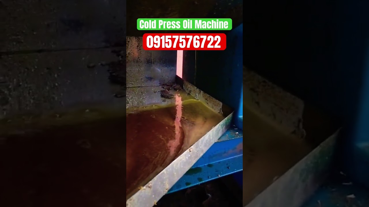 Best Cold Press Oil Machine for Home | Oil Extraction
