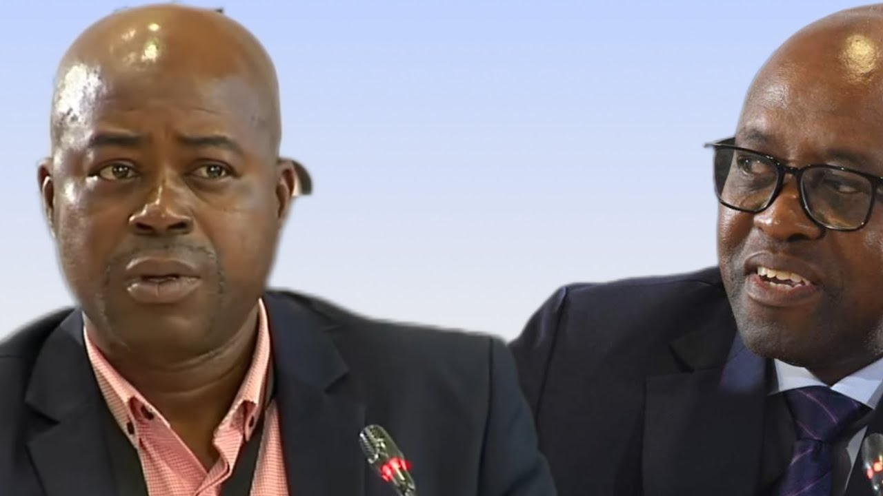 WATCH | Magagula says broken IPID procedures are hurting investigations