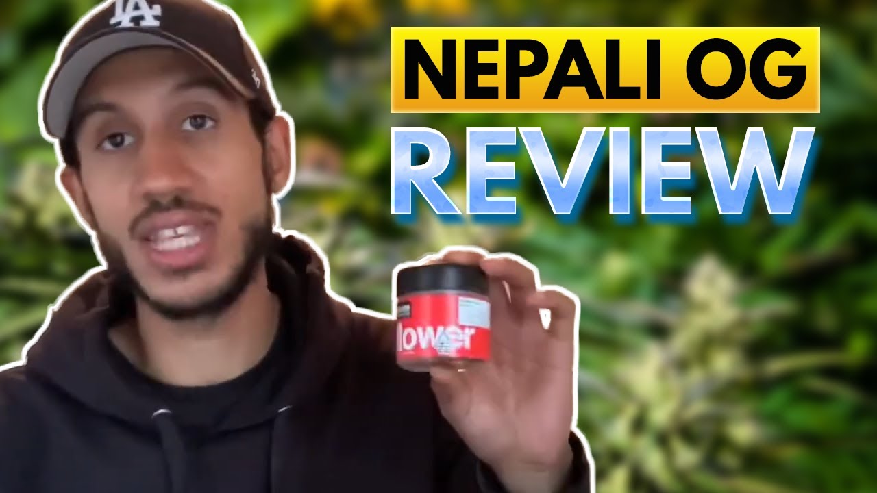 Nepali OG Strain Review 🔥 | House Weed Breakdown