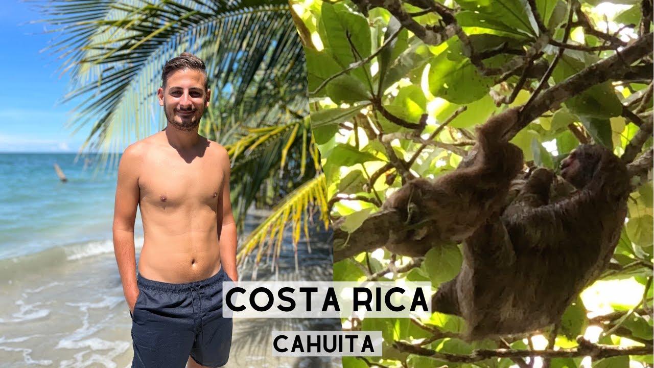 Weltreise VLOG 54 - Costa Rica: CAHUITA NATIONALPARK! Viele Tiere, toller Strand & KOSTENLOS! 6/6
