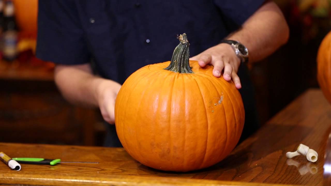 Samuel Adams Harvest Pumpkin Ale Pumpkin Keg