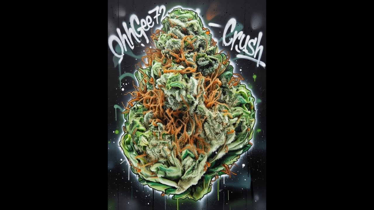 OhhGee72 - Crush