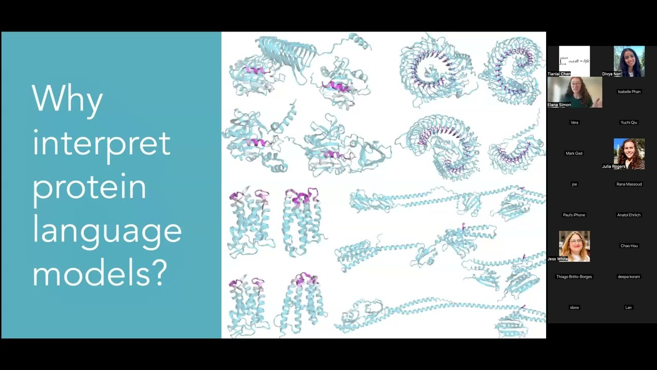 InterPLM: Discovering Interpretable Features in Protein Language Models via Sparse Autoencoders