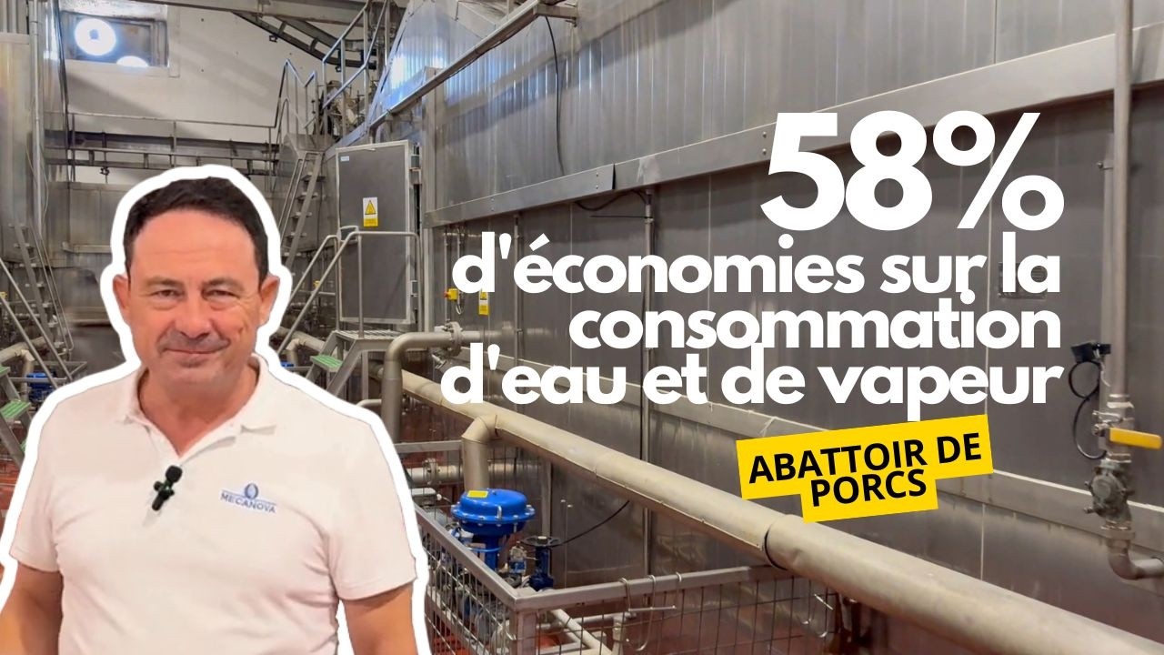 EXPERT explique TOUT sur le ÉCHAUDAGE VERTICALE par DOUCHES
