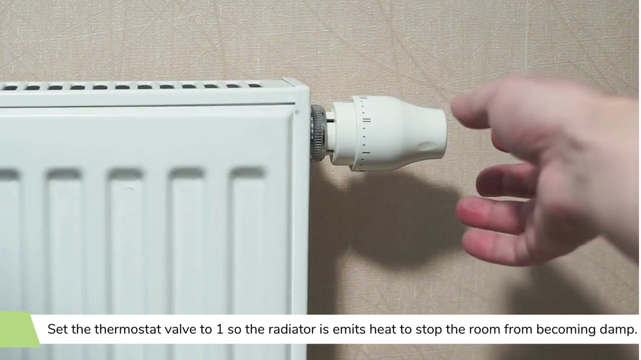 How to manage damp and mould