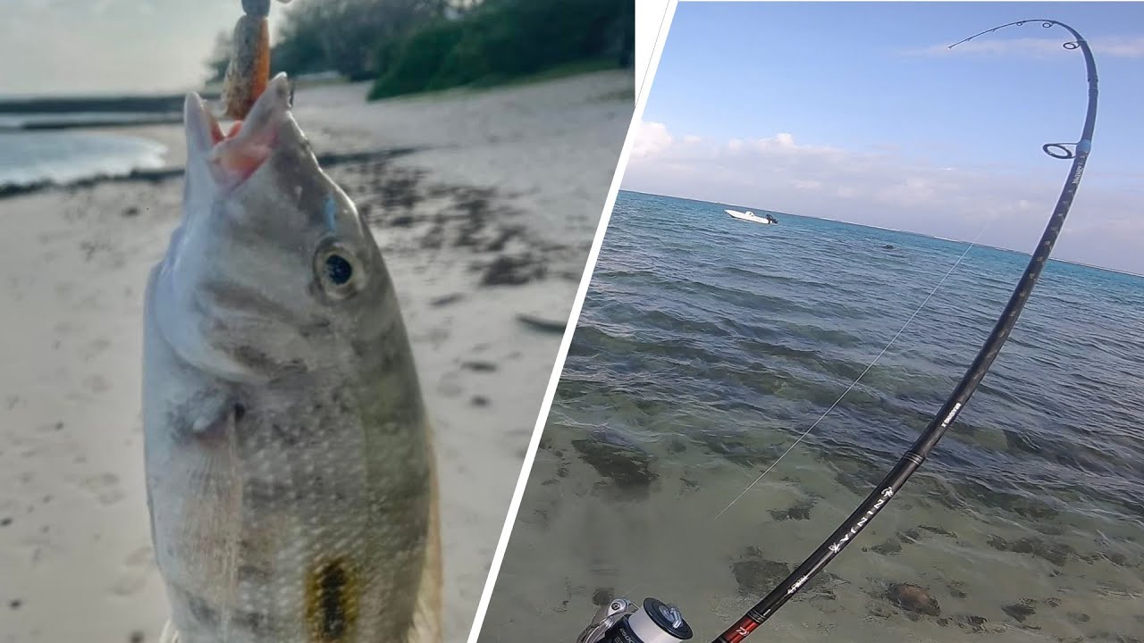Quick Shore Casting at Blue Bay- Beach Fishing in Mauritius 2022..