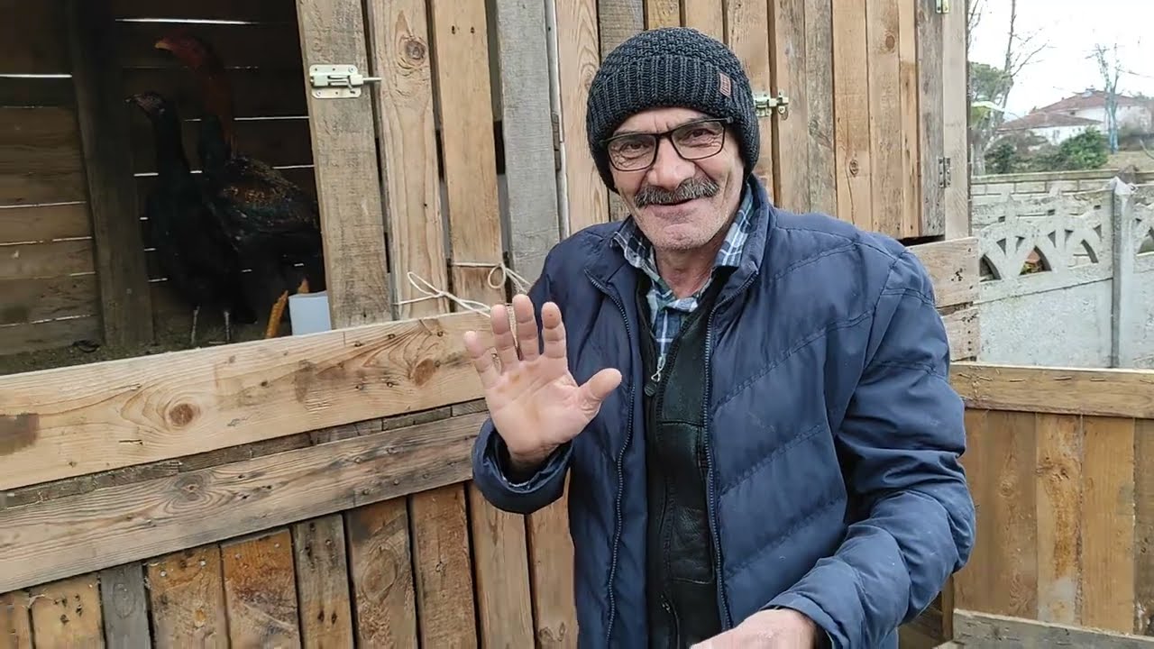 /// KENDİ VERDİĞİM YUMURTALARDAN YAVRU SATIN ALDIM ///