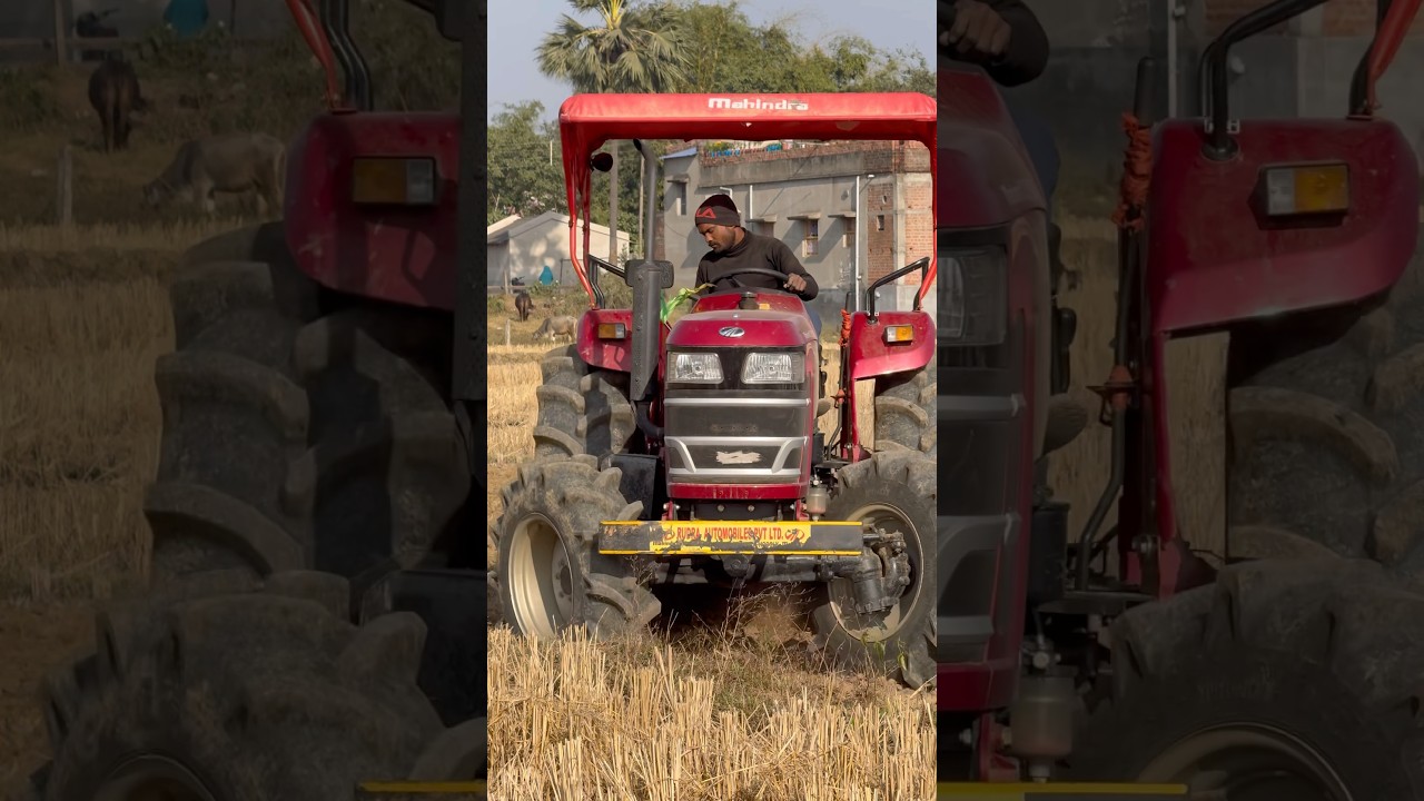 Mahindra 585 DI YUVO Tech+ TOP Model #mahindratractor #tractor #trending #new #indian