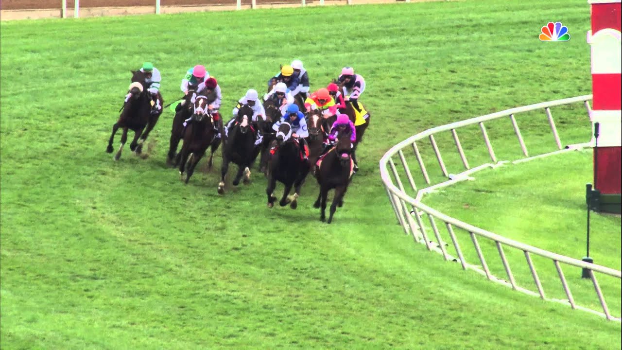 2015 Breeders' Cup Mile