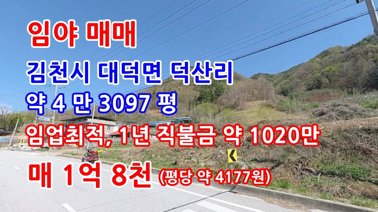 임야매매 김천시 임업활동 하기 좋은 중대형 임야매매