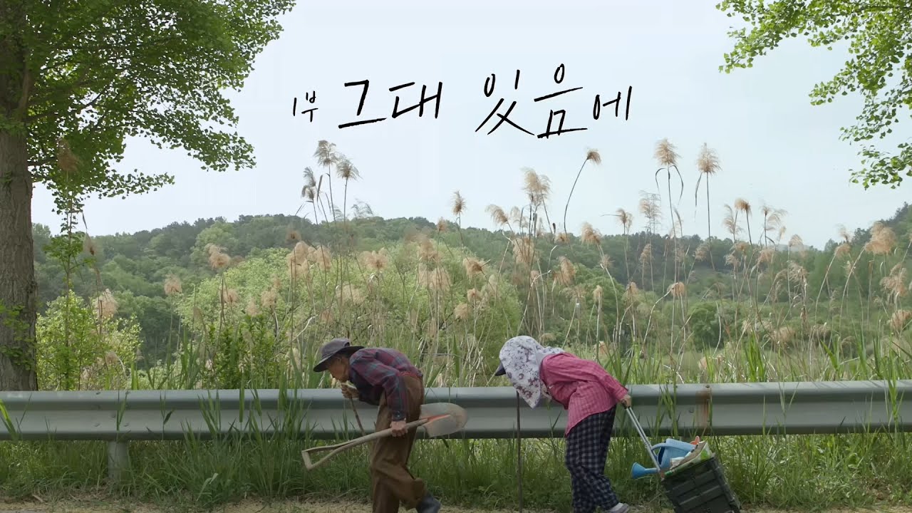 KBS 대전-청주 UHD 공동기획 [대청호] 1부 그대 있음에 / KBS대전 20210920 방송