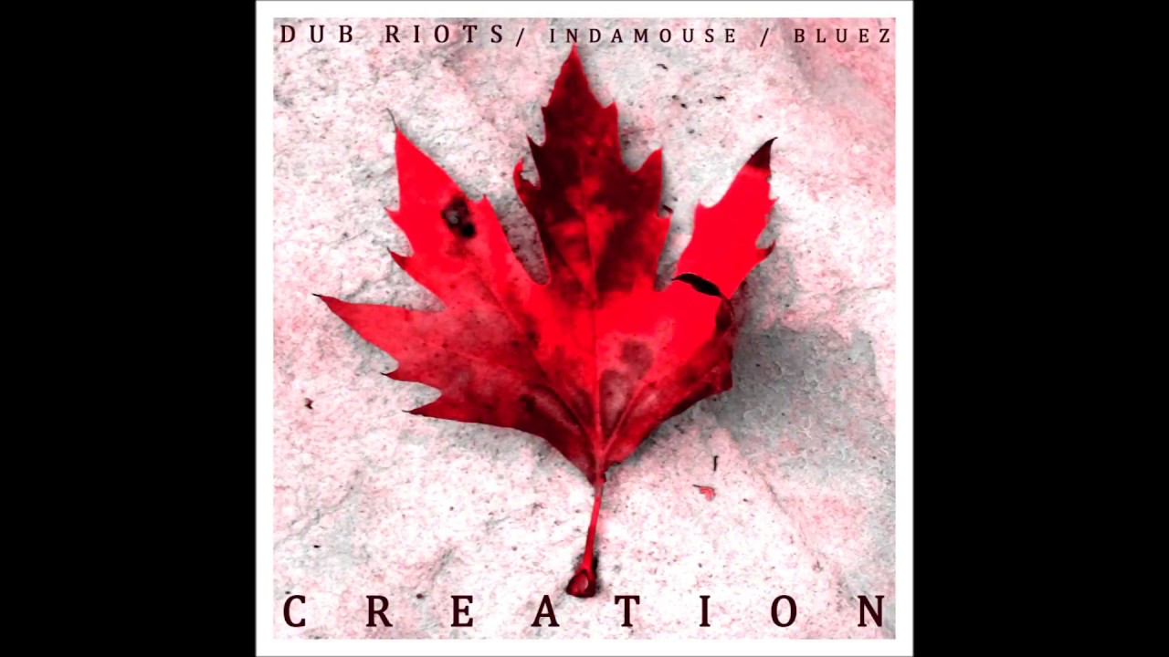 Dub Riots - Silence is Gold