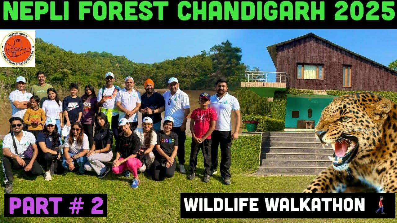Nepli Forest Chandigarh 2025 😍 Wildlife Walkathon | Sukhna Wildlife Sanctuary Trekking | Kansal