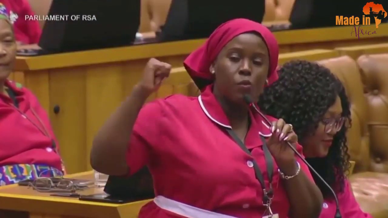 EFF vs Deputy Speaker - Funniest Thing ever in Parliament