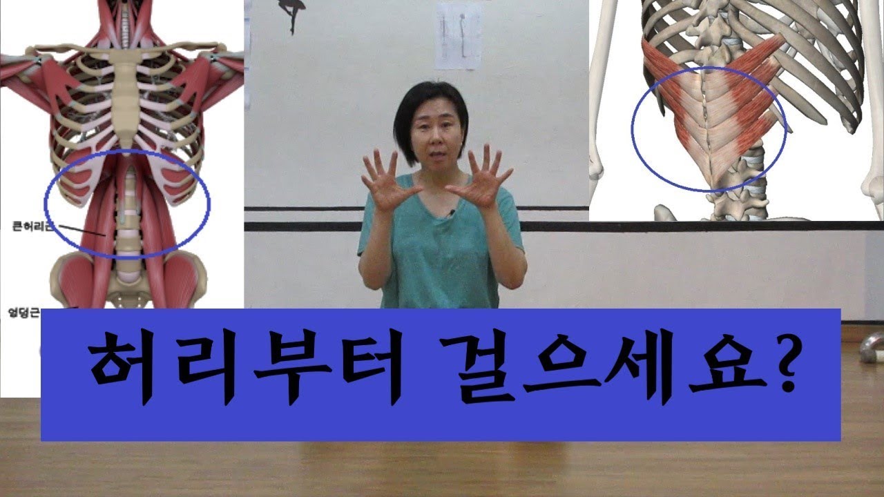[마름모코어 시즌 1-10] 허리부터 걸으시나요? - 다리 길이는 하후거부터/ 마름모코어 스트레칭/ 등척성수축/코어안정화/신체정렬/체형교정/ 골반교정/측만교정/바른보행