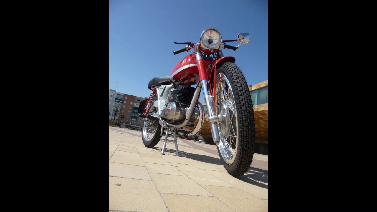 Impala Sport 250