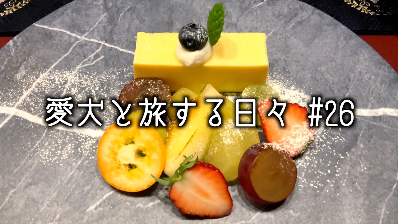 愛犬と修善寺・伊豆高原へ行ってきた　坐漁荘の和会席に舌鼓を打った一泊二日の旅｜坐漁荘・愛犬と泊まれる宿