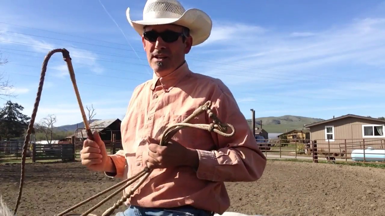 Training a horse to having a whip cracked off him in one minute...