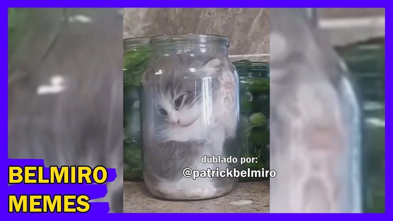 Belmiro Memes: Melhores dublagens engraçadas da semana 91