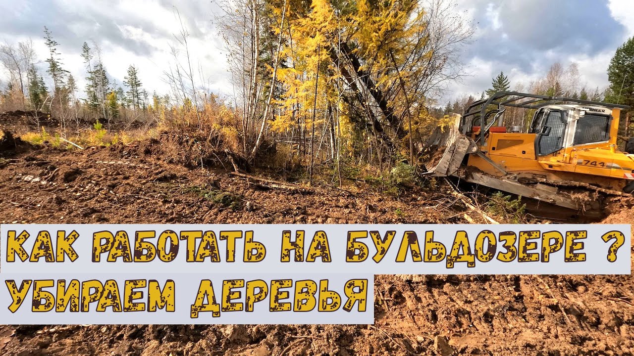 Как работать на Бульдозере. Корчуем деревья.