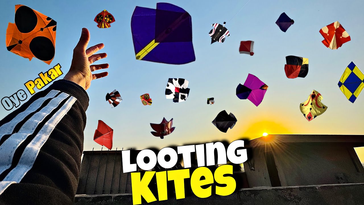 Looting And Catching Kites 🤩 Mazy Waly Scenes 2.5 Tawy or 6 Tawy😱Ura Lia Kesi Ny Aj|| New Video !