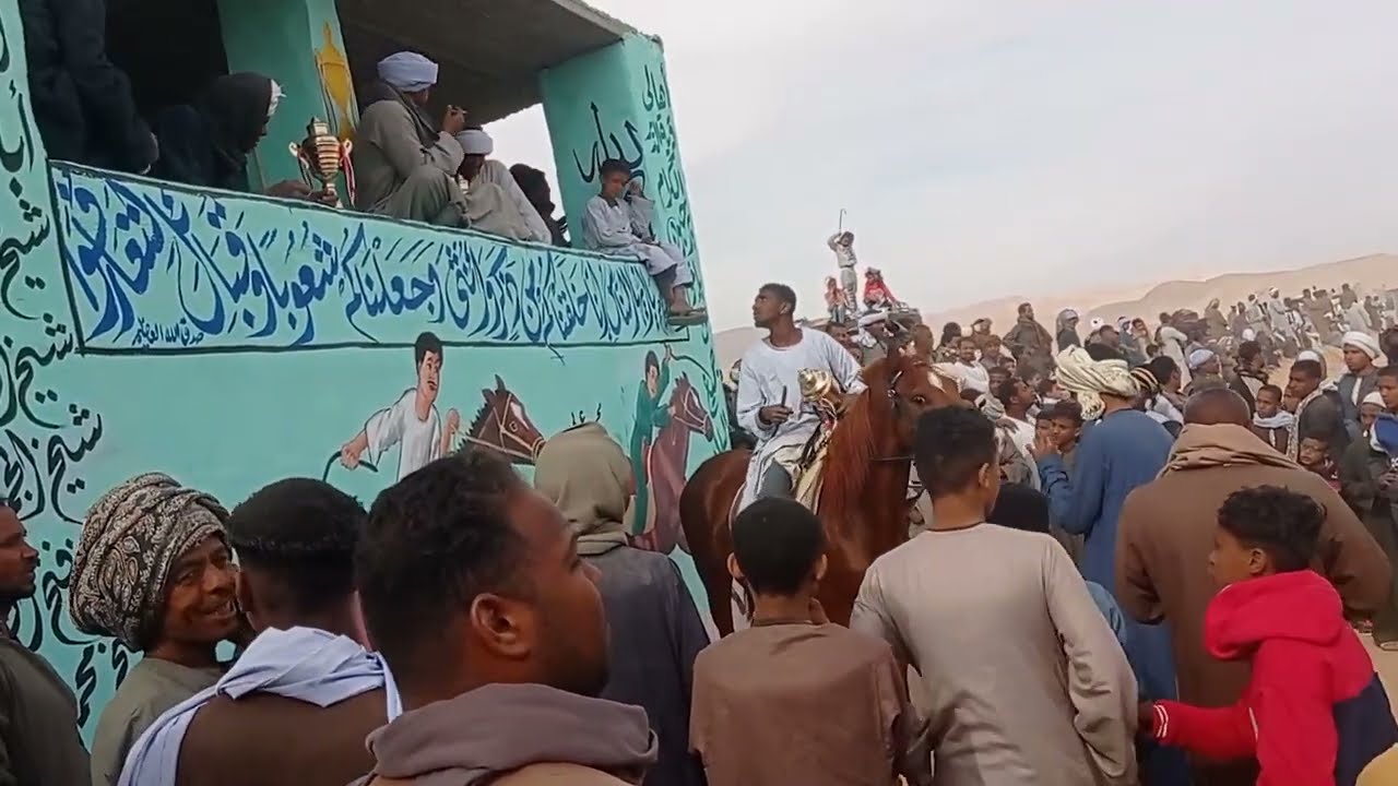 مرماح ليلة السيد عبدالديم بالدير -اسنا-الاقصرجزء 3#سباق - خيل-حصان