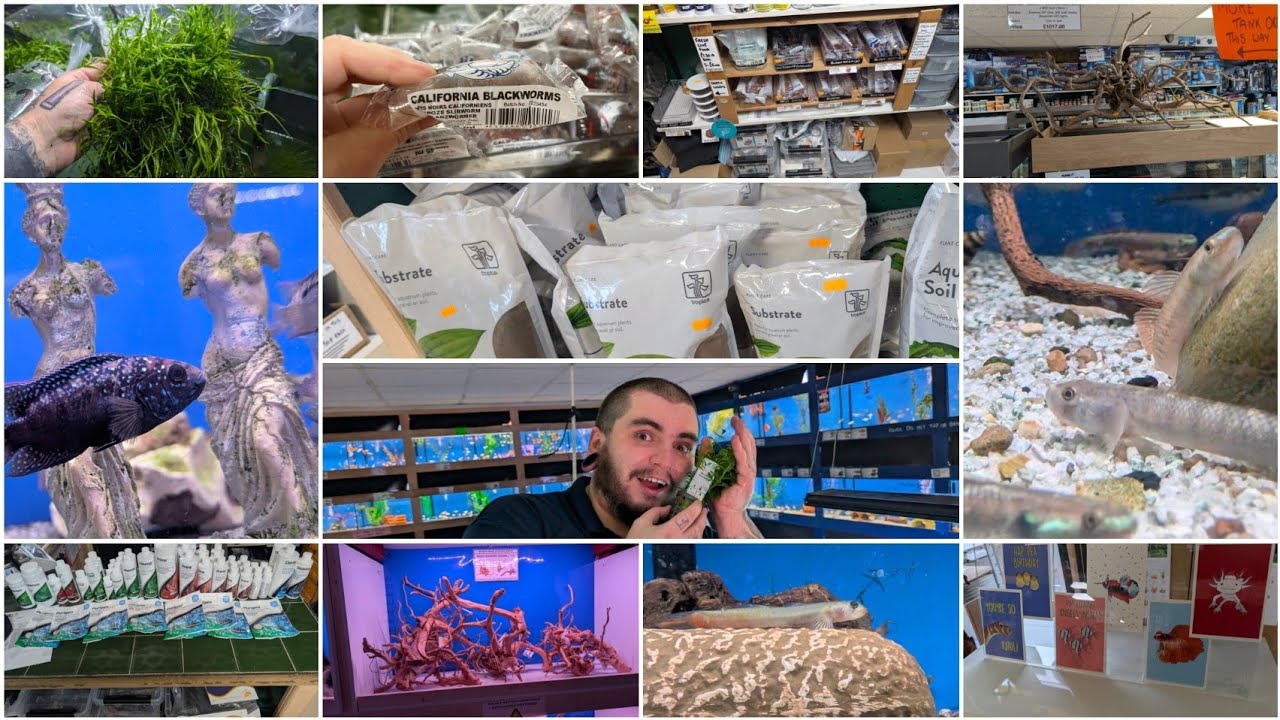 New fish and plants! 