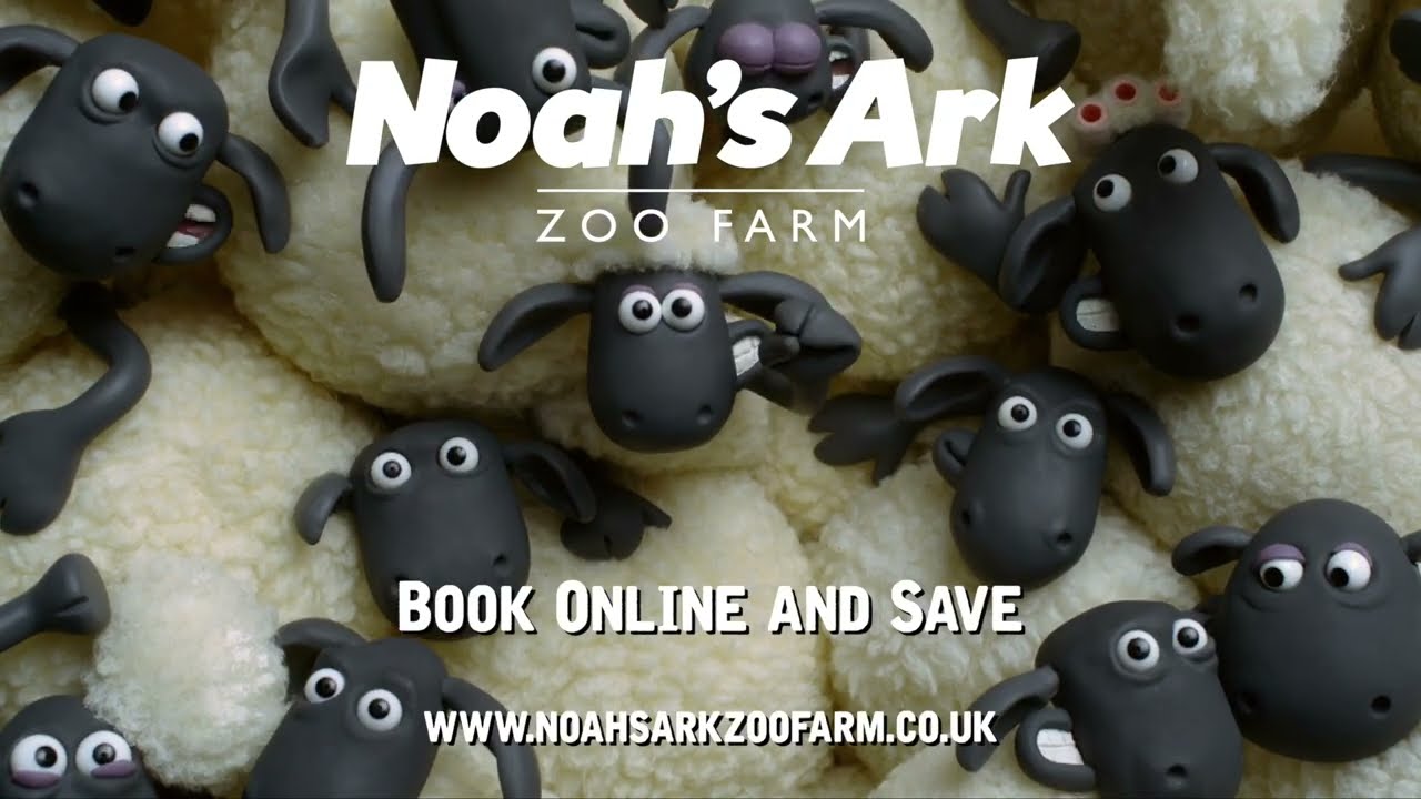 🐑 Noah's Ark Zoo Farm: Hide and Sheep 🐑