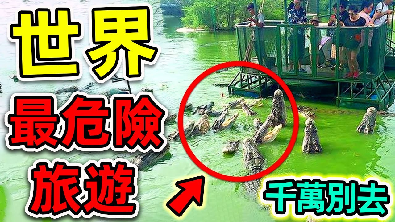 全世界最危險的10個旅遊景點！每年超4000人在此喪命，第一名99%概率去世，卻有無數人搶著去。|#世界之最top #世界之最 #出類拔萃 #腦洞大開 #top10 #最危險景點