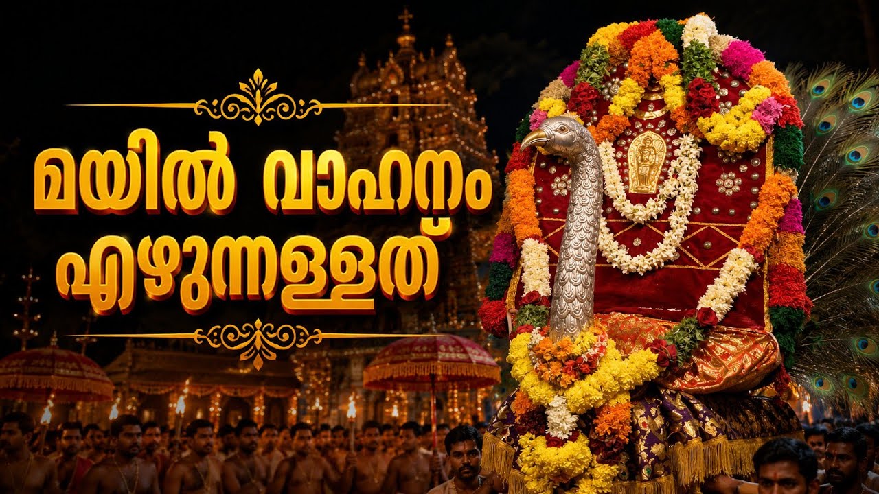  മയിൽ വാഹനം എഴുന്നള്ളത്ത്‌ കിഴക്കേടത്ത് ശ്രീ സുബ്രഹ്മണ്യ സ്വാമിക്ഷേത്രം #aana #uthsavam #chendamelam