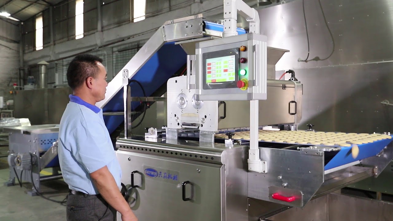Model 1000 Wire Cut Cookie Machine Inspection before shipment to New Zealand