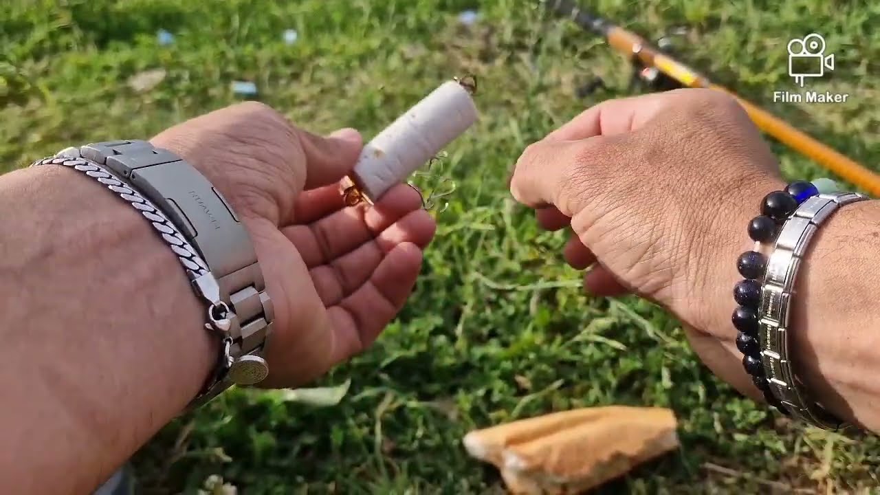 Alibey Barajı Balık Avı