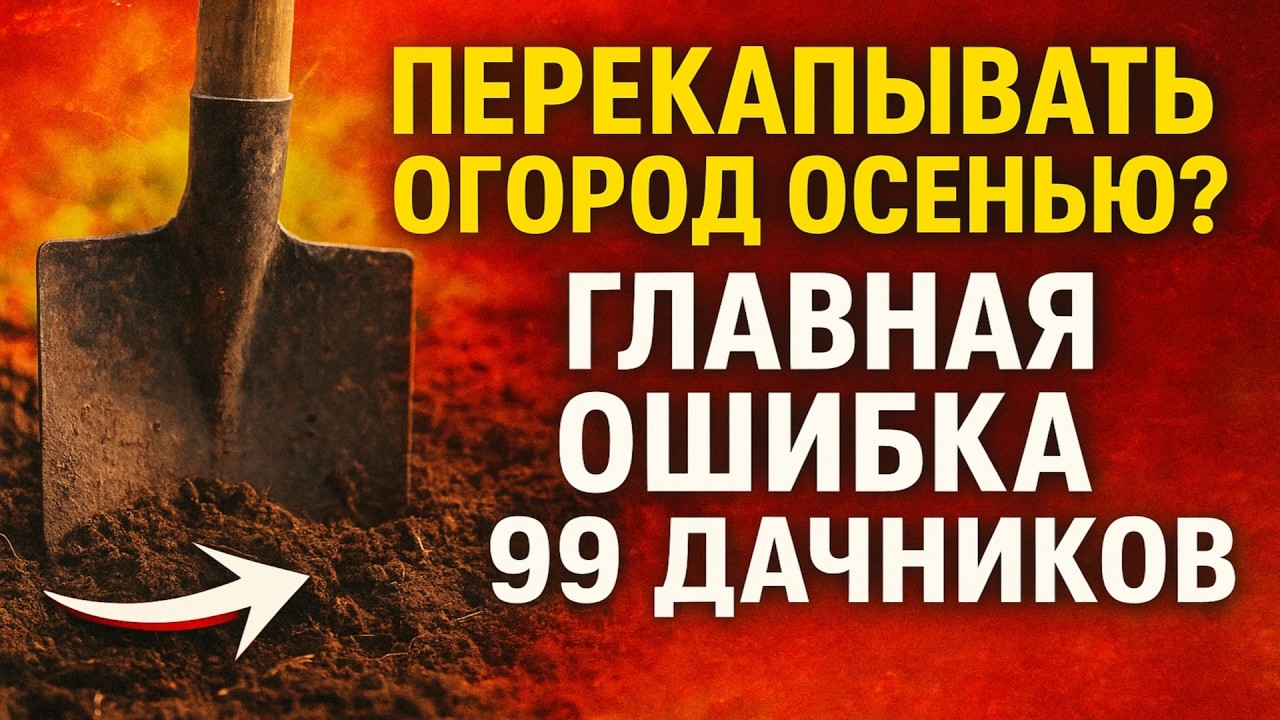 Перекапывать огород осенью? 😱 Главная ОШИБКА 99% дачников.