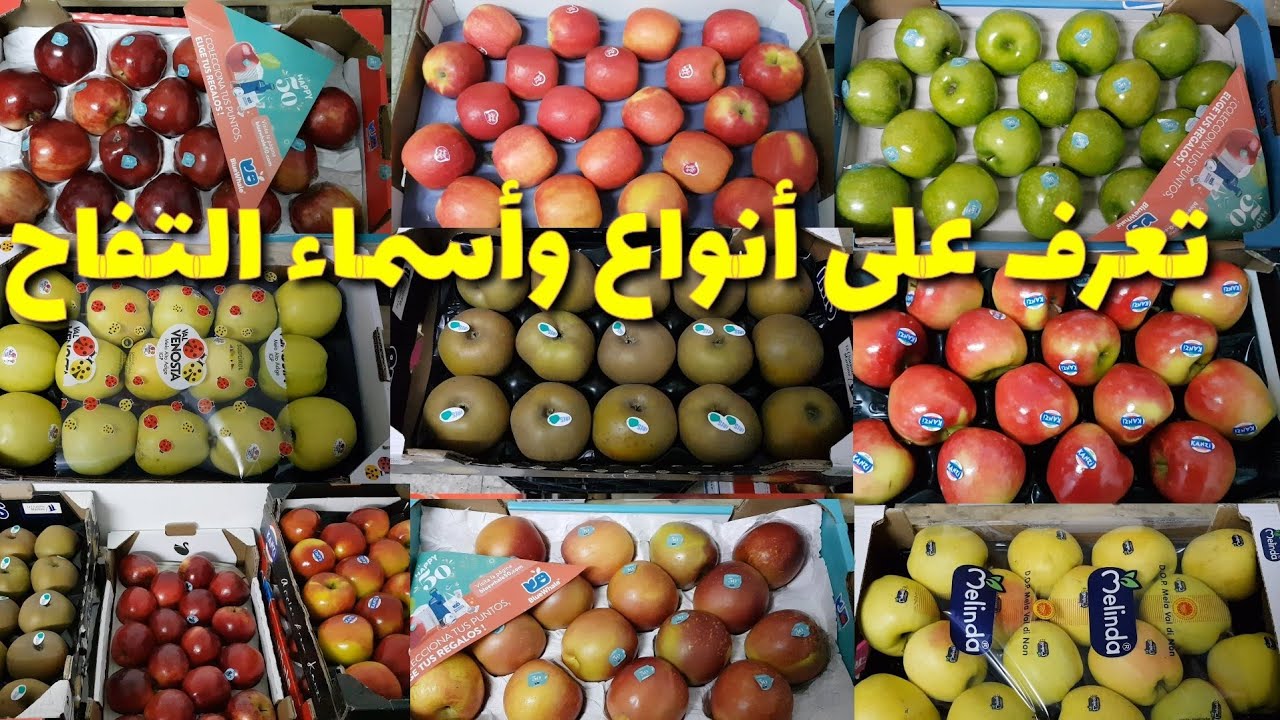 تعرف على أنواع التفاح  والأسماء ( مشاءالله)