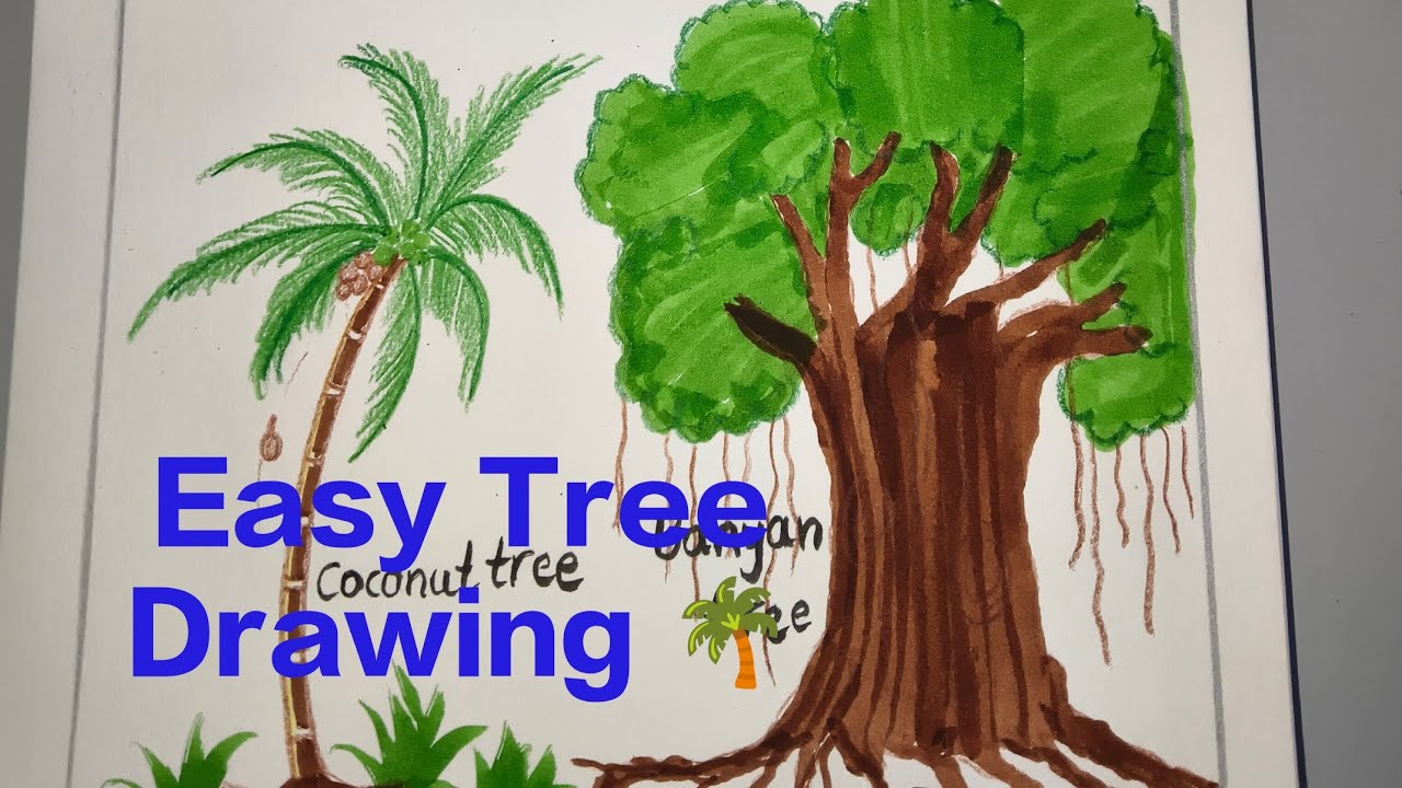 Easy Tree Drawing for Beginners 🌳/ Mango, Coconut, Banyan and Banana Trees