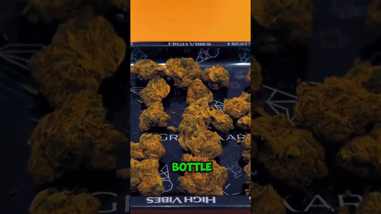 Aurora&nbsp;Pedanios MBE T10:C13 Moon Berry Medical Flower