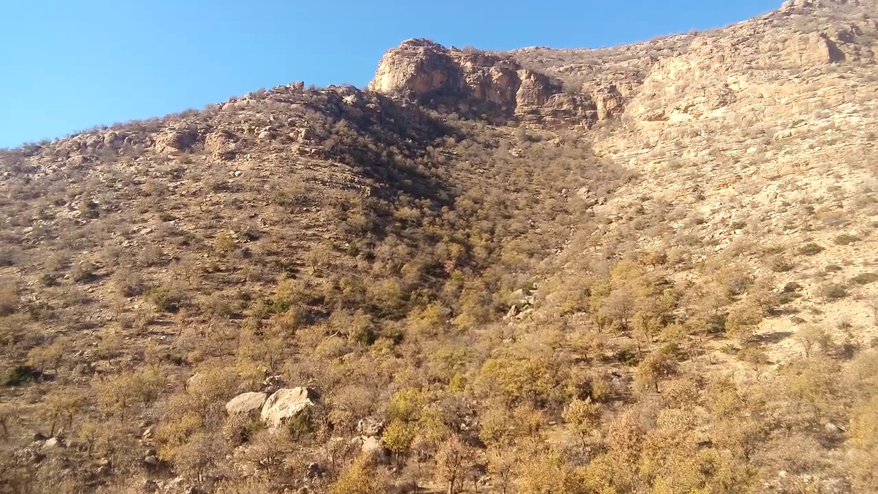 Siirt Eruh Bozatlı Köyü