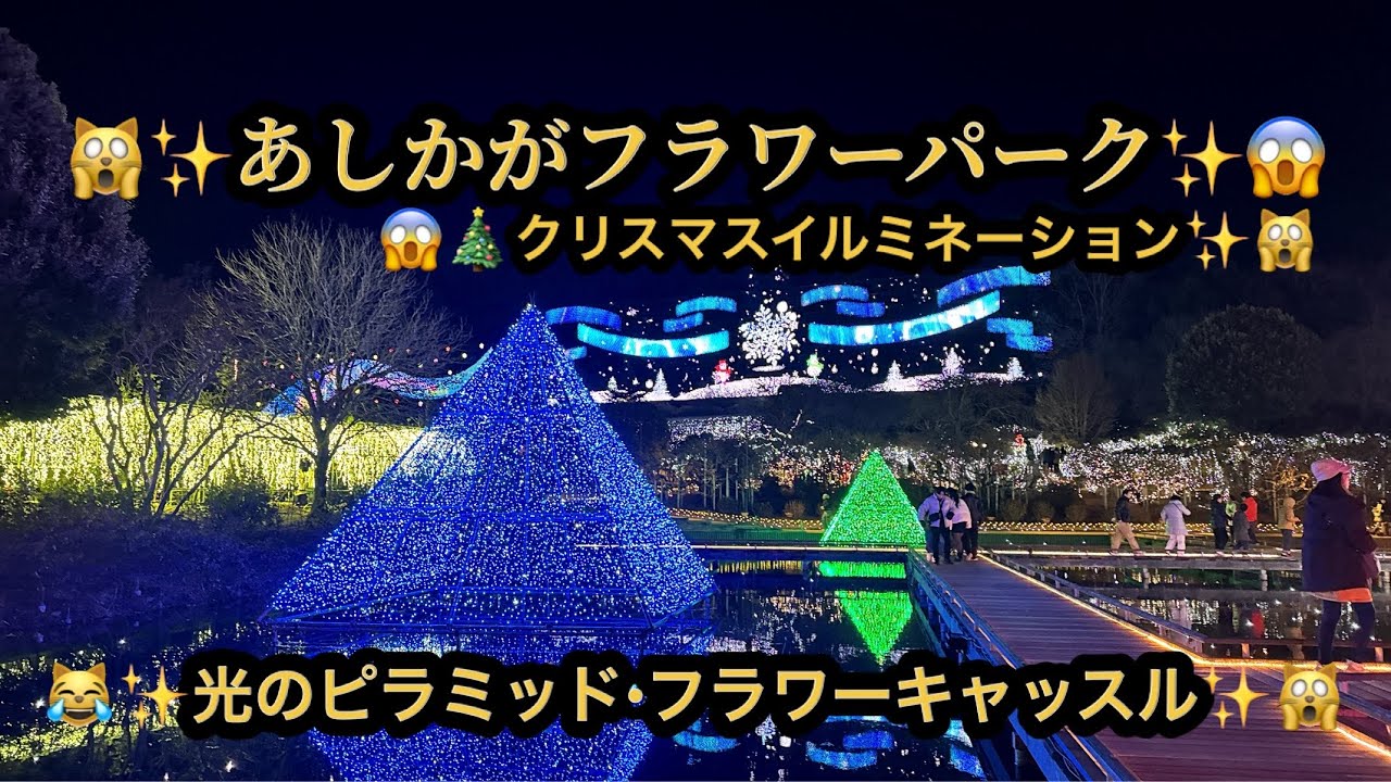 【プレミア】【４ｋ】🙀🎄✨クリスマス・イルミネーション✨光の花の庭✨光のピラミッド✨フラワーキャッスル✨Part2✨😱あしかがフラワーパーク(23m20s）🤣BGM:#riokazumiのピアノ語り