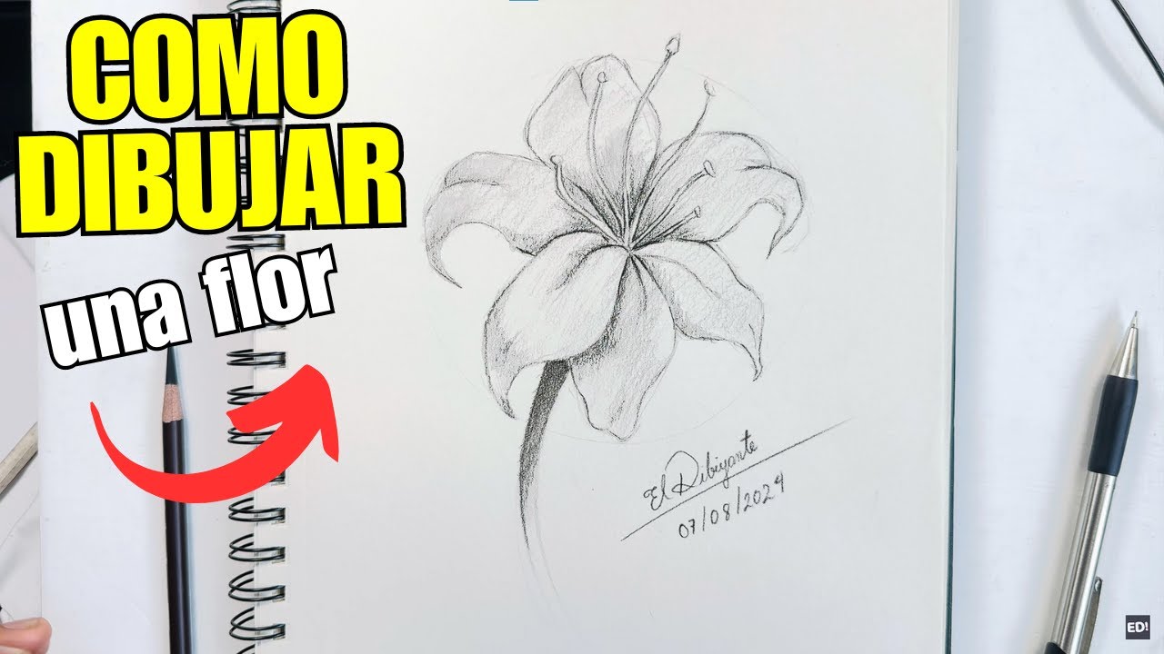 🔴 Cómo dibujar una flor realista a lápiz o carboncillo paso a paso